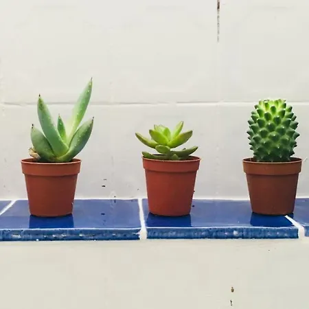 Dom wakacyjny Cote Remparts