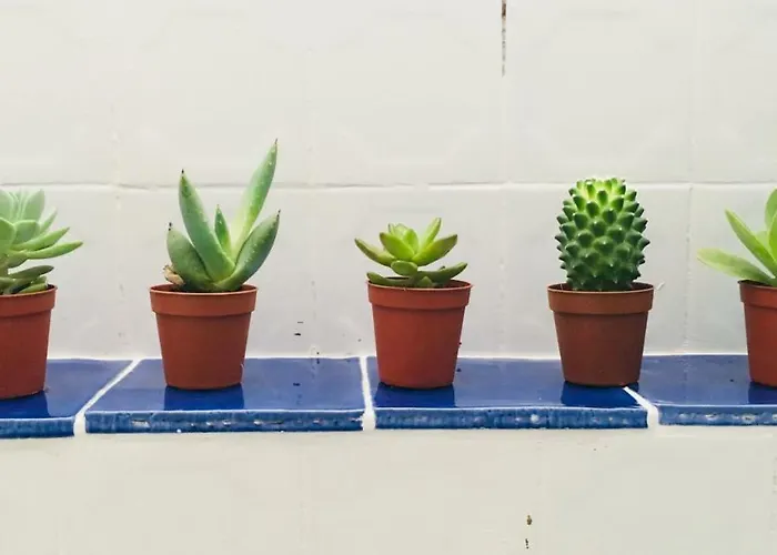 Holiday home Cote Remparts